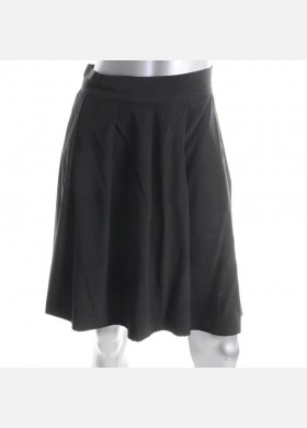 Pleated A-Line Skirt