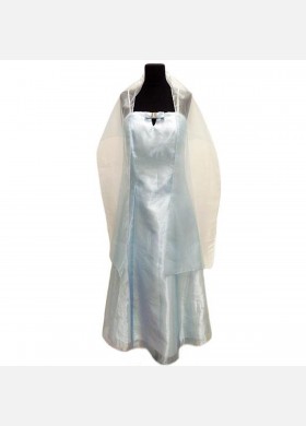 Celestial Gown